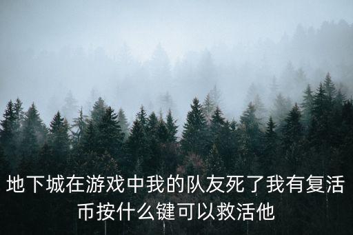 pubg手游怎么救死掉的队友，地下城在游戏中我的队友死了我有复活币按什么键可以救活他