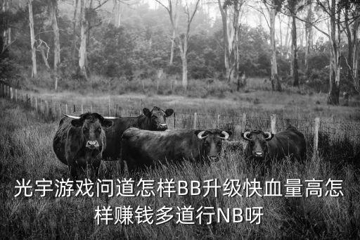 光宇游戏问道怎样BB升级快血量高怎样赚钱多道行NB呀