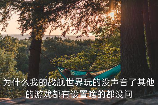 战舰世界手游无播放量怎么回事，玩战舰世界老是未响应是怎么回事网速问题还是电脑问题