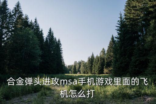 反恐精英手游怎么玩飞机，cs怎么开飞机和车啊