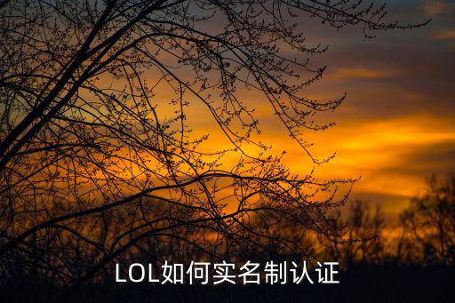 LOL如何实名制认证