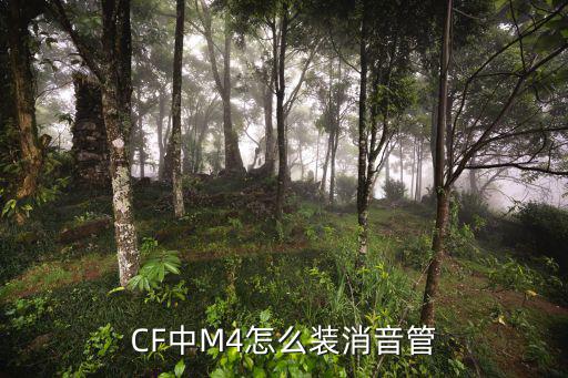 cf手游m4怎么装消音器，cf中的M4怎样装消声器不会教下