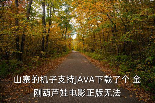 山寨的机子支持JAVA下载了个 金刚葫芦娃电影正版无法