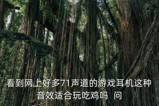 看到网上好多71声道的游戏耳机这种音效适合玩吃鸡吗  问