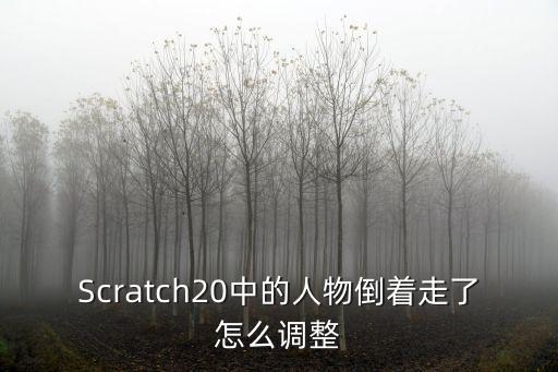 Scratch20中的人物倒着走了怎么调整