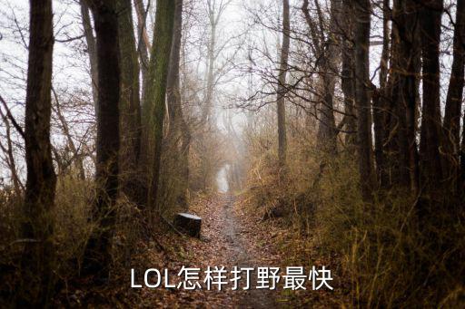 LOL怎样打野最快