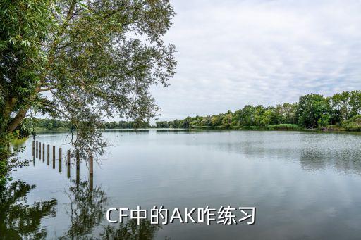 CF中的AK咋练习