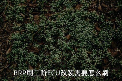 BRP刷二阶ECU改装需要怎么刷