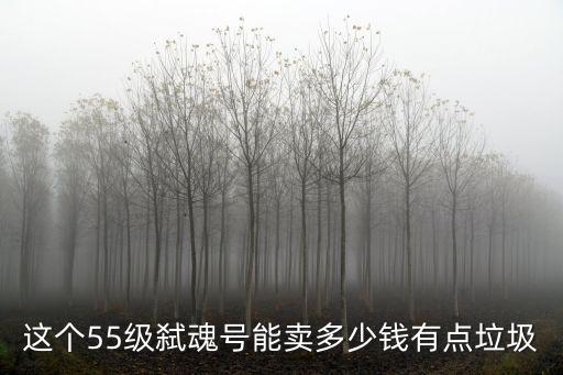 鬼泣手游号怎么卖，这个55级弑魂号能卖多少钱有点垃圾