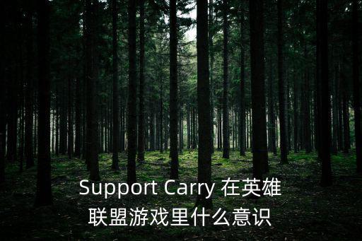 Support Carry 在英雄联盟游戏里什么意识