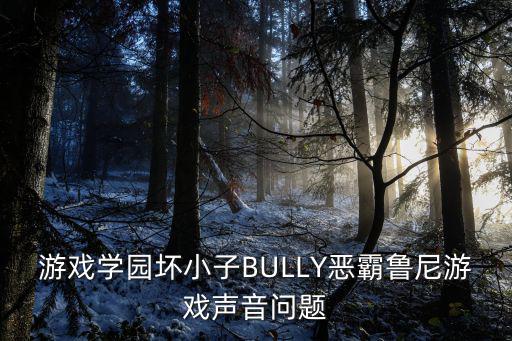 游戏学园坏小子BULLY恶霸鲁尼游戏声音问题