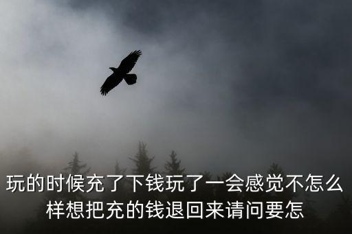 玩的时候充了下钱玩了一会感觉不怎么样想把充的钱退回来请问要怎