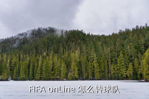 FIFA onLine 怎么转球队