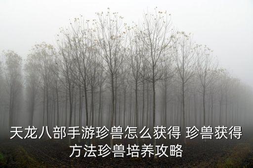 天龙八部手游仙兽怎么获得，寻仙手游仙兽怎么获得