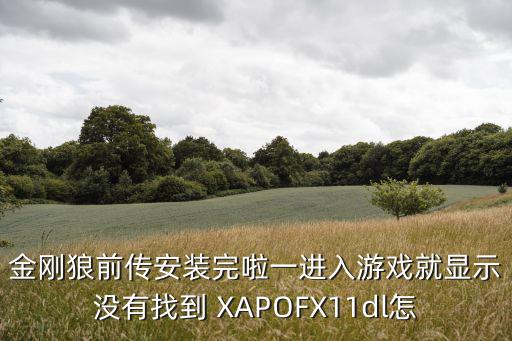 金刚狼前传安装完啦一进入游戏就显示没有找到 XAPOFX11dl怎