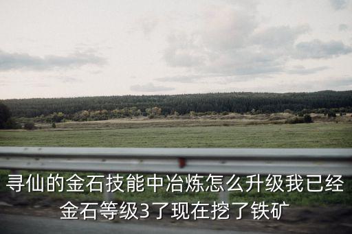 寻仙的金石技能中冶炼怎么升级我已经金石等级3了现在挖了铁矿