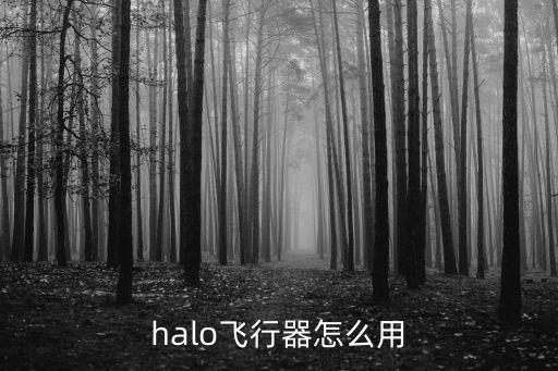 halo飞行器怎么用