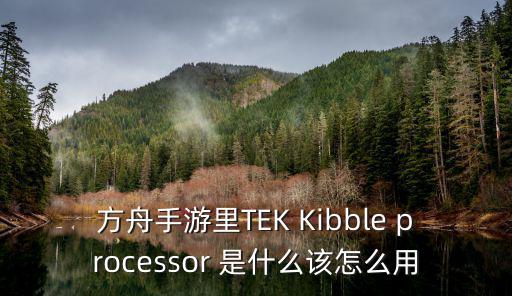 方舟手游怎么在地牢找到泰克装备，方舟手游里TEK Kibble processor 是什么该怎么用