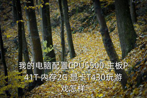 我的电脑配置CPU5500 主板P41T 内存2G 显卡T430玩游戏怎样