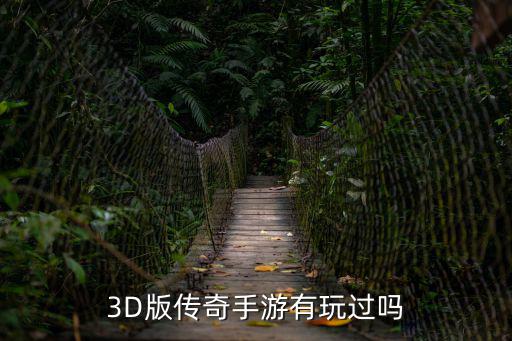 3D版传奇手游有玩过吗