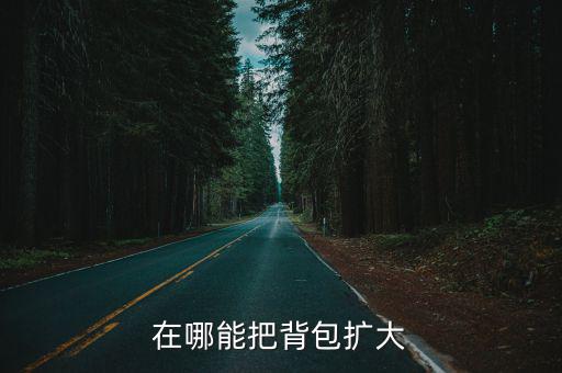 问道手游怎么扩展背包，在哪能把背包扩大