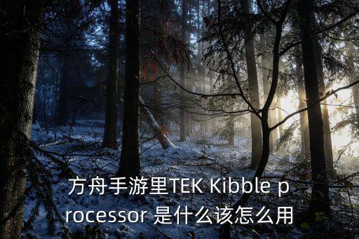 方舟手游里TEK Kibble processor 是什么该怎么用