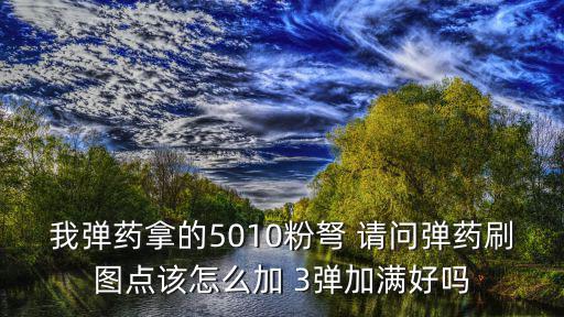 我弹药拿的5010粉弩 请问弹药刷图点该怎么加 3弹加满好吗