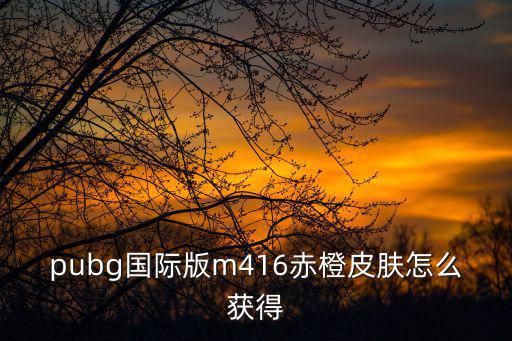 pubg国际版m416赤橙皮肤怎么获得