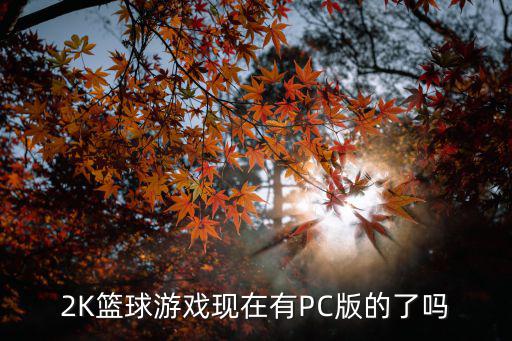 2K篮球游戏现在有PC版的了吗