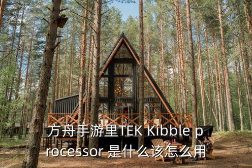 方舟手游里TEK Kibble processor 是什么该怎么用