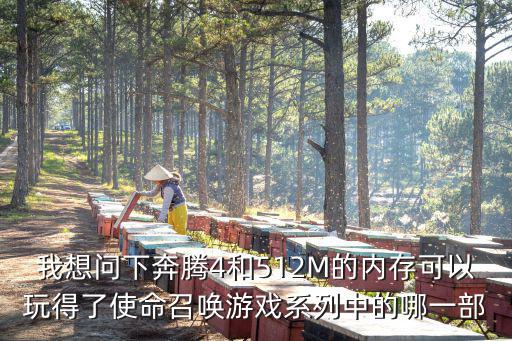 使命召唤手游的探敌声呐怎么得，我想问下奔腾4和512M的内存可以玩得了使命召唤游戏系列中的哪一部