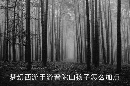 梦幻西游手游普陀山孩子怎么加点