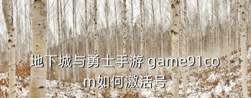 地下城与勇士手游 game91com如何激活号