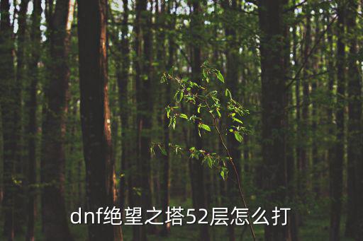 dnf手游鬼泣52层塔怎么过，dnf绝望之塔52层怎么打