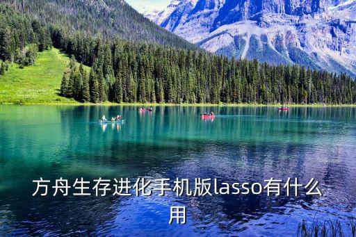 方舟生存进化手机版lasso有什么用