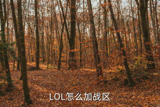 LOL怎么加战区