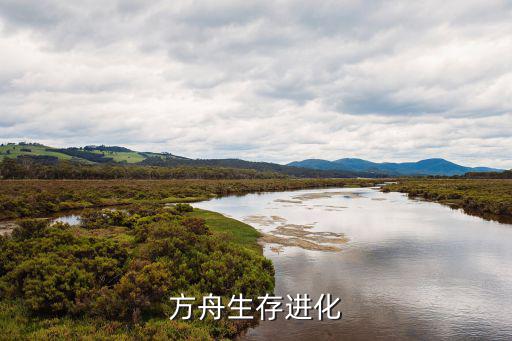 风干箱怎么用方舟生存进化手游，方舟生存进化手机版多少级学习铁盔甲