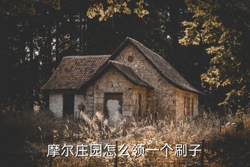 摩尔庄园怎么领一个刷子