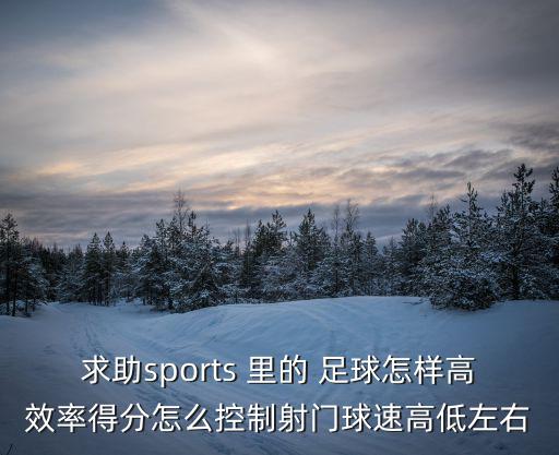 求助sports 里的 足球怎样高效率得分怎么控制射门球速高低左右