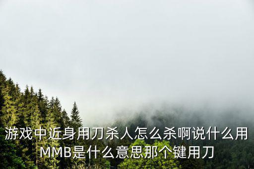 游戏中近身用刀杀人怎么杀啊说什么用MMB是什么意思那个键用刀