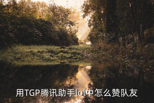 用TGP腾讯助手lol中怎么赞队友