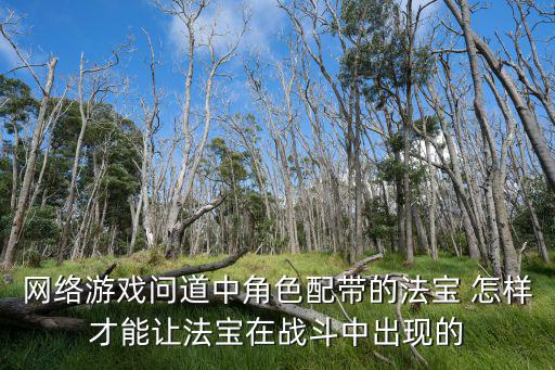 网络游戏问道中角色配带的法宝 怎样才能让法宝在战斗中出现的