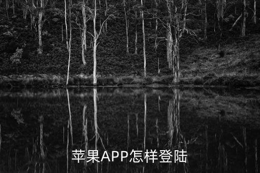 苹果APP怎样登陆