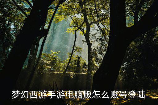 梦幻西游手游电脑版怎么账号登陆