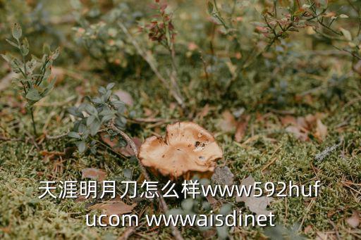 天涯明月刀怎么样www592hufucom wwwaisdinet