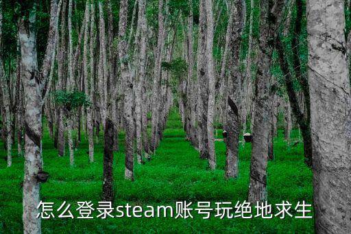 怎么登录steam账号玩绝地求生