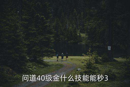 问道40级金什么技能能秒3