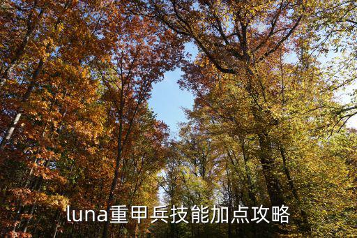 luna重甲兵技能加点攻略