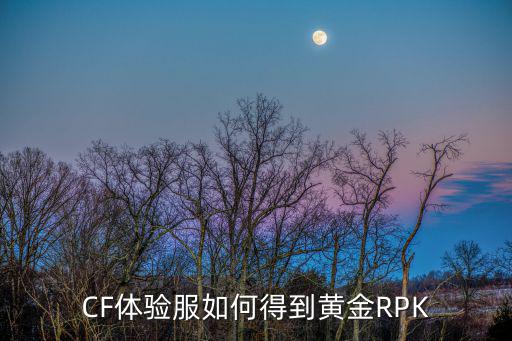 CF体验服如何得到黄金RPK