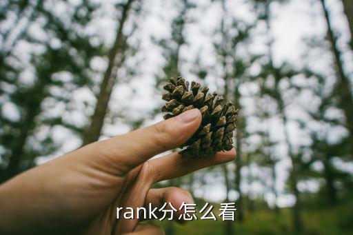 rank分怎么看